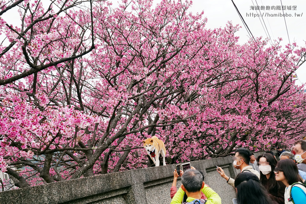 世貿名人坊(原世貿聯誼社)｜ 台北信義101旁景觀餐廳，粵菜料理，菜單價位(捷運台北101/世貿站) @海綿飽飽的鳳梨城堡