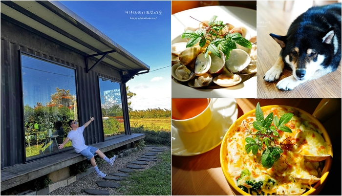 桃園平鎮貨櫃咖啡廳「巷子躲貓貓」義大利麵、燉飯、鬆餅、可愛柴犬(菜單價位) @海綿飽飽的鳳梨城堡