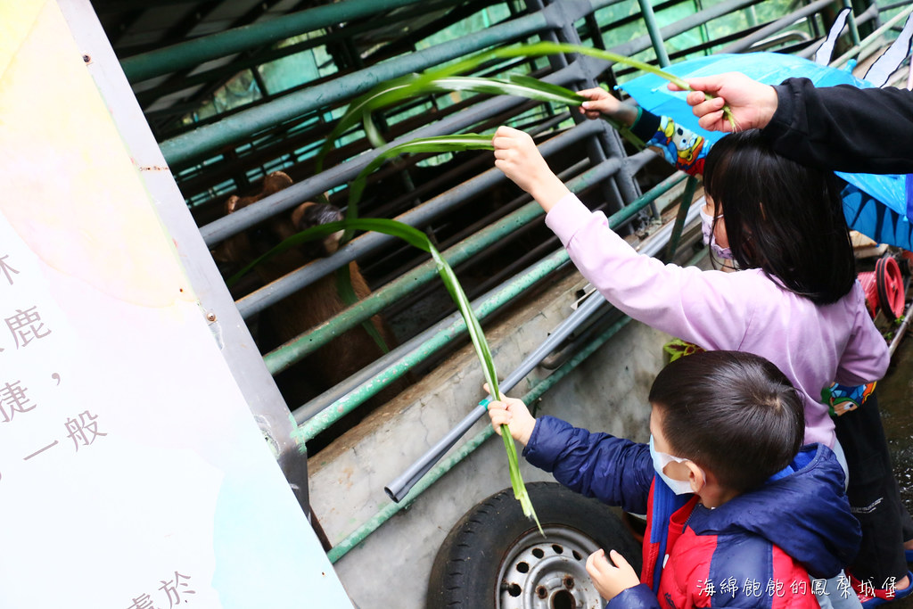 台北近郊農夫一日遊「瑪陵休閒農業區」親子旅遊推薦!! @海綿飽飽的鳳梨城堡